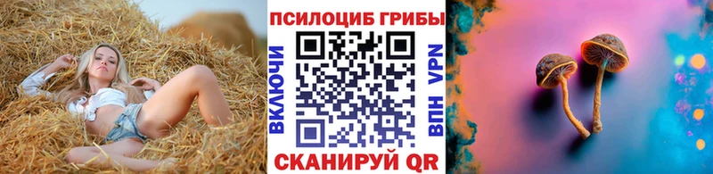 Галлюциногенные грибы Magic Shrooms  Черняховск 