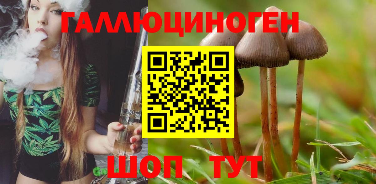Черняховск  Псилоцибиновые грибы ЛСД  хочу наркоту  Вход с VPN 